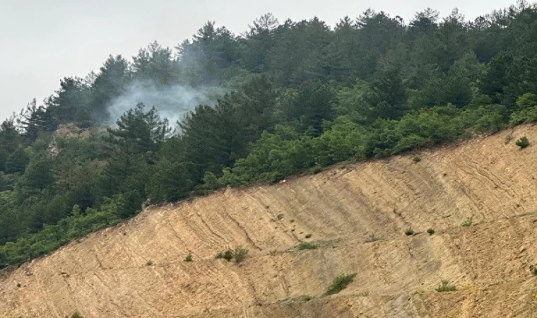 Emet'te düşen yıldırım orman yangınına neden oldu